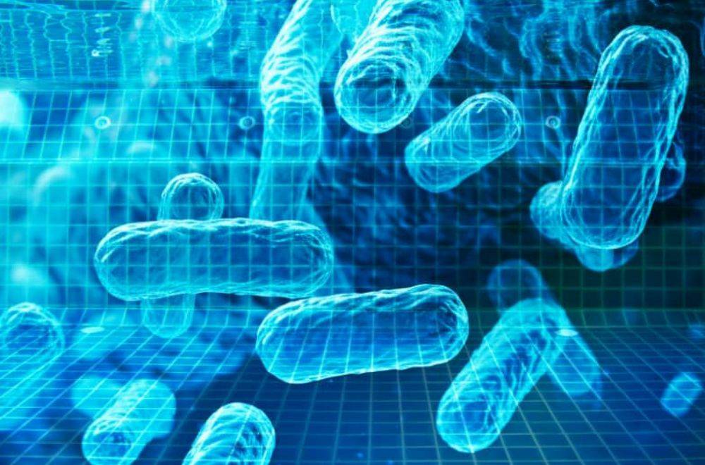 Не дадим легионелле ни единого шанса: как контролировать патоген