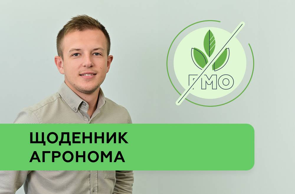 «Золотий стандарт» для визначення ГМО в зерні