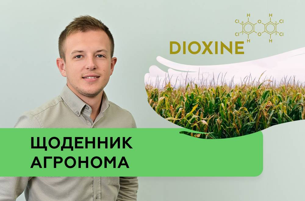 Грязная дюжина: контролируем диоксины и ПХБ