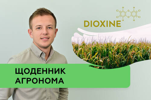 Грязная дюжина: контролируем диоксины и ПХБ