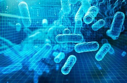 Не дадим легионелле ни единого шанса: как контролировать патоген