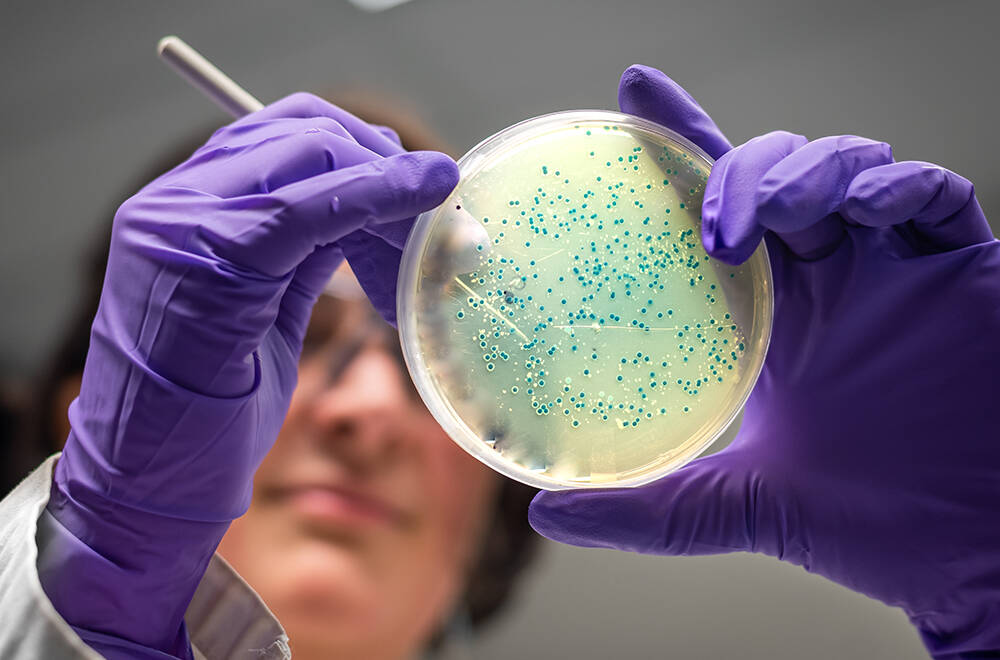 Сальмонелла в пищевых продуктах: современные решения для контроля патогена