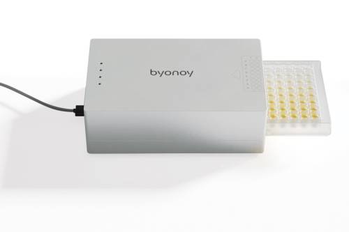 Мягкая или твердая: как выявить примеси мягкой пшеницы в продуктах из твердых сортов