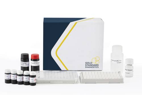 Мягкая или твердая: как выявить примеси мягкой пшеницы в продуктах из твердых сортов