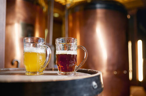 Питательные среды FastOrange®: инновационный подход к микробиологическому контролю в пивоварении