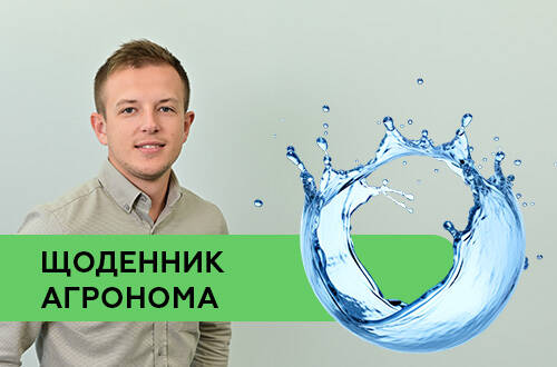 В новый год – с новыми стандартами на влагу и примеси в зерне