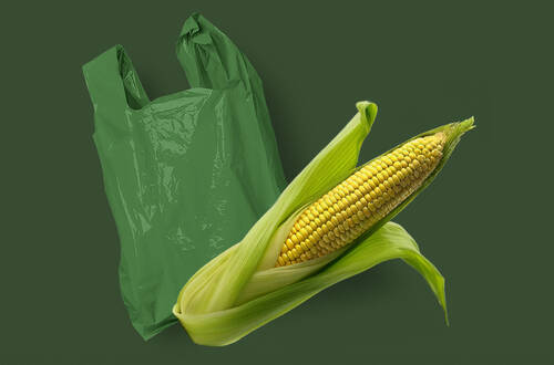 Биопластик – материал будущего