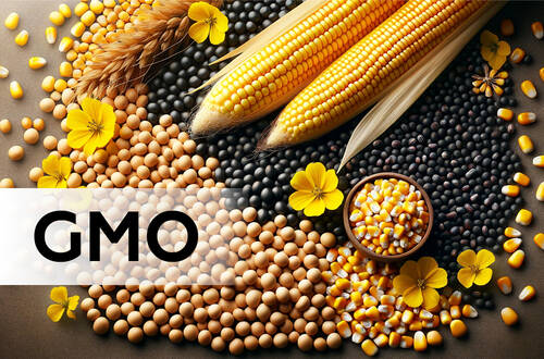 Методы выявления ГМО: найдите идеальный вариант для Вашего предприятия