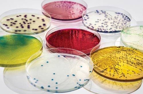 Приборы микробиолога