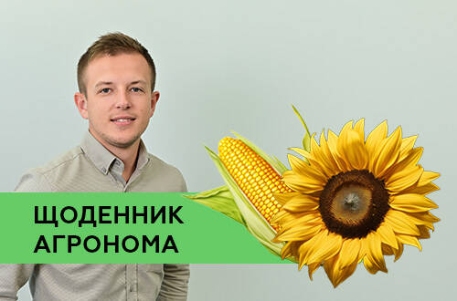 Собираем поздние яровые, комплектуем лабораторию входного контроля зерна