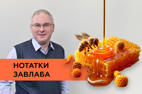 Тайны цветочного меда: идентифицируем пыльцу, определяем происхождение