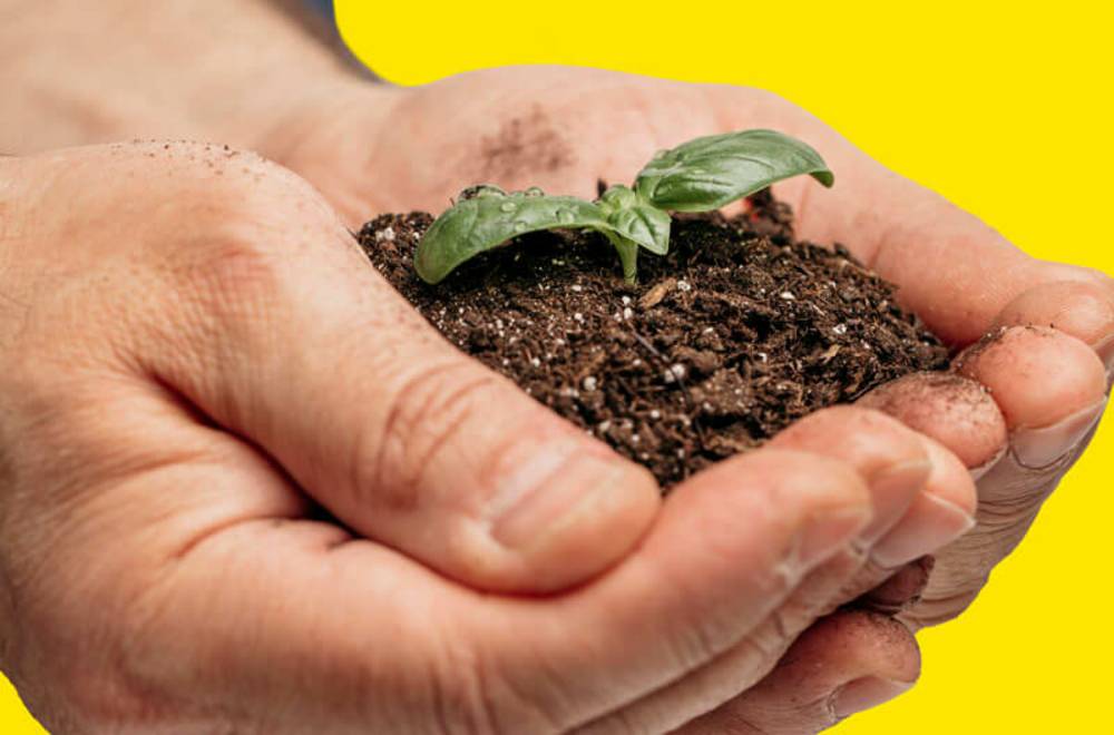 Агроэкологический мониторинг земель