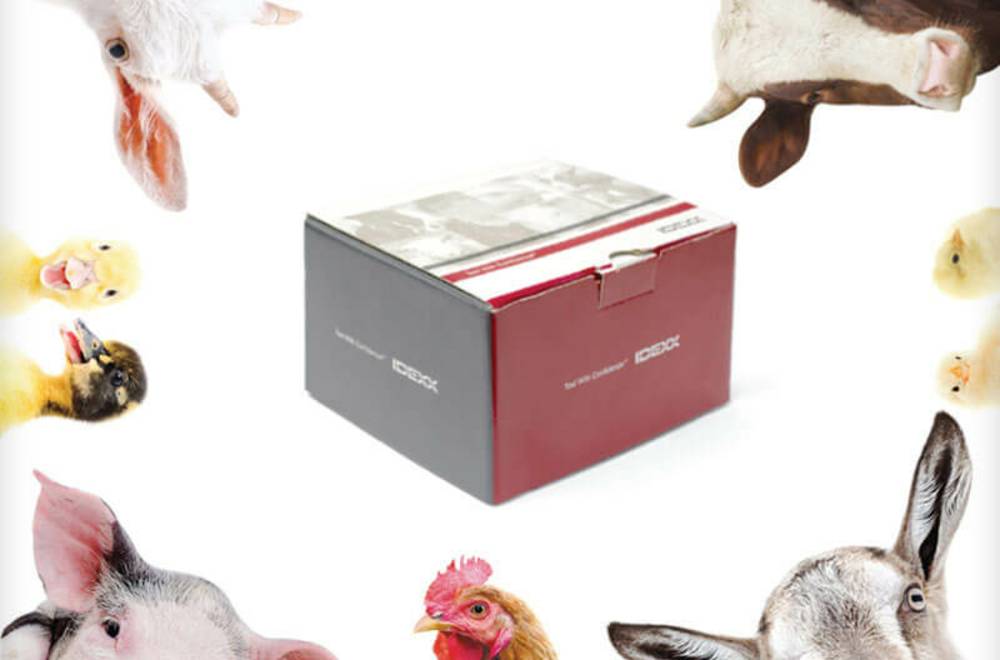 Наборы IDEXX диагностика заболеваний животных