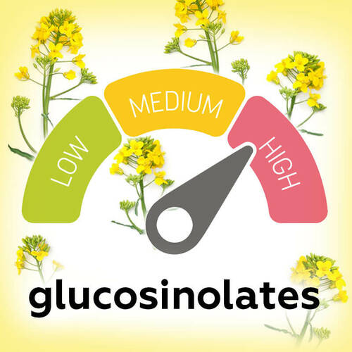 Глюкозинолати в олійних культурах