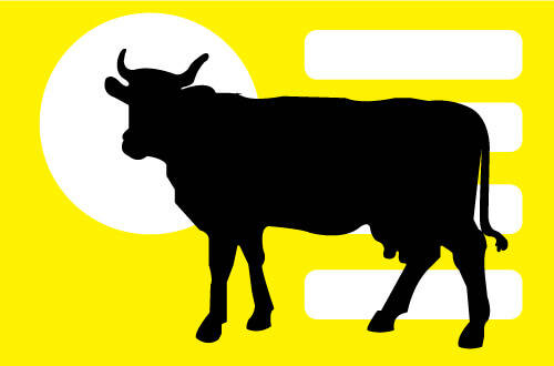 Микотоксикозы у животных