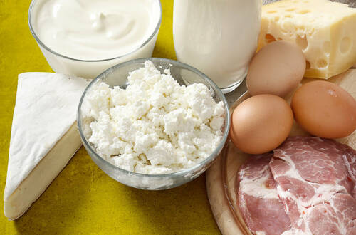 Контроль содержания сальмонеллы