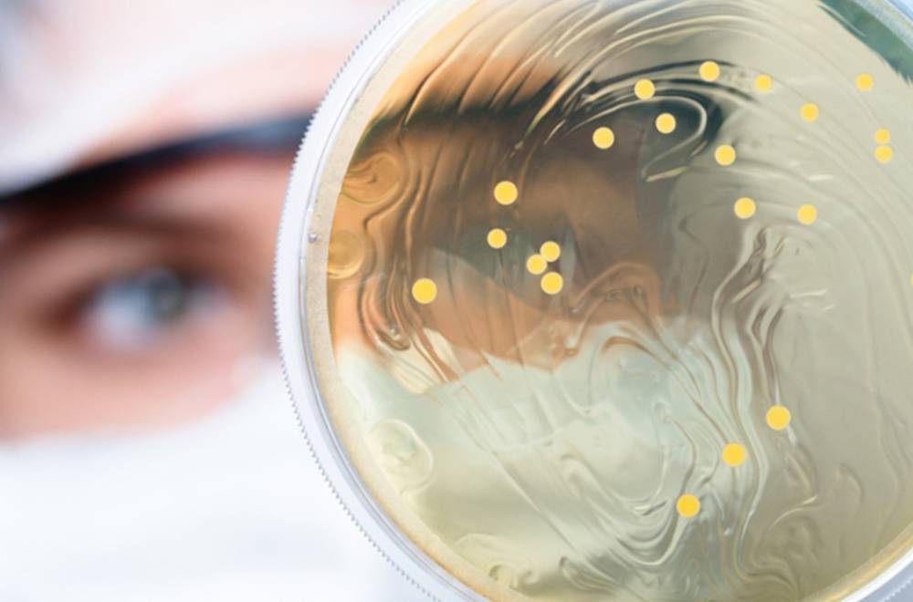 Мікробіологічна лабораторія «на відмінно»: як організувати і чим наповнити