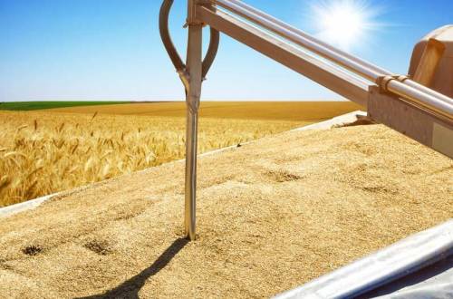 Автоматический пробоотборник зерна