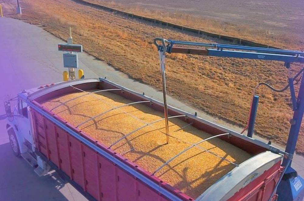 Автоматический автомобильный пробоотборник зерна: делаем умный выбор!