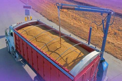 Автоматический автомобильный пробоотборник зерна: делаем умный выбор!