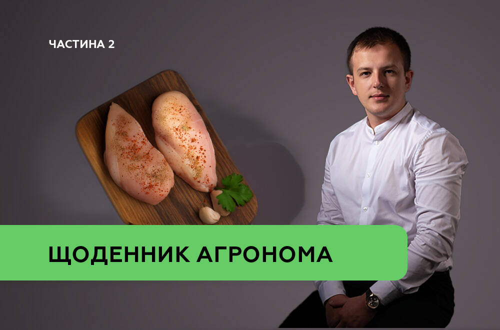 Перезапуск ДСТУ 3143 «М’ясо птиці. Загальні технічні умови»: на що звернути увагу найперше. Частина 2