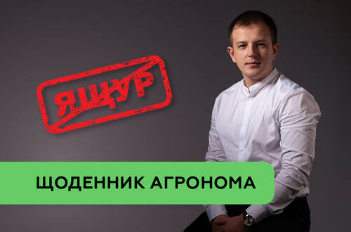 Вспышка ящура в Европе: что должен знать украинский фермер?