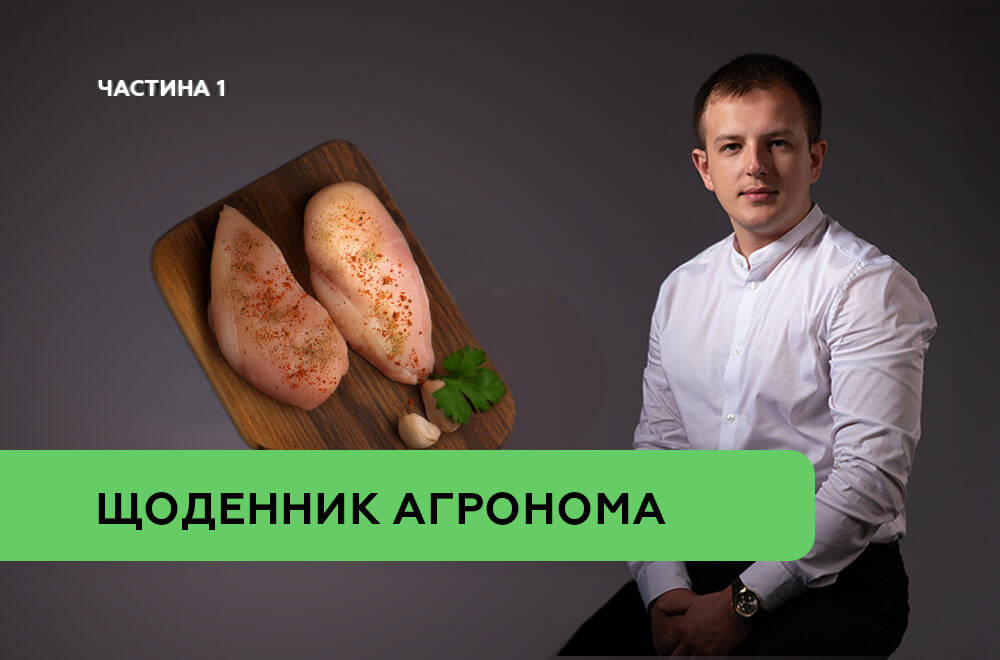 Перезапуск ДСТУ 3143 «М’ясо птиці. Загальні технічні умови»: на що звернути увагу найперше. Частина 1