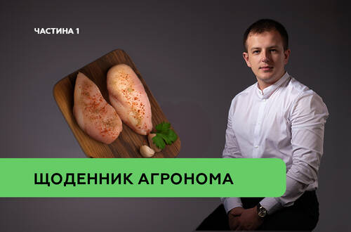 Перезапуск ДСТУ 3143 «М’ясо птиці. Загальні технічні умови»: на что обратить внимание прежде всего. Часть 1