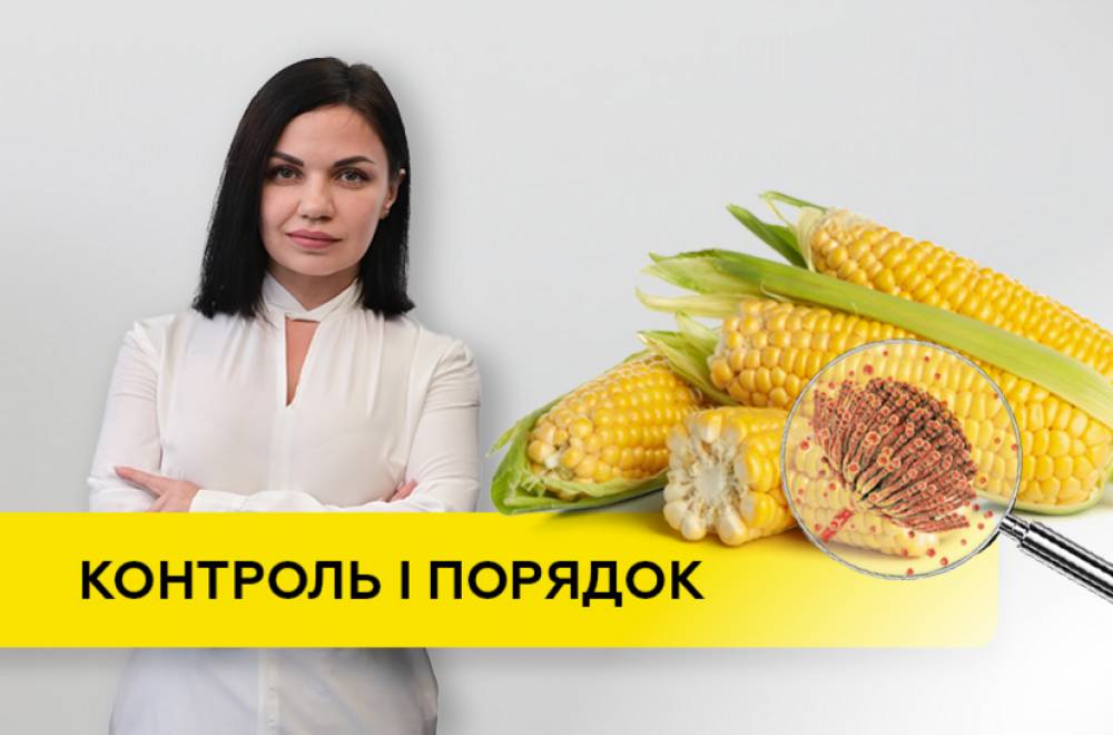 Микробиология зерна: ключевые факторы безопасного хранения урожая