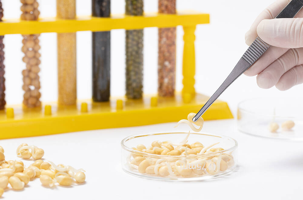 Хлорпирифос в зерне: как выявить и избежать экспортных рисков