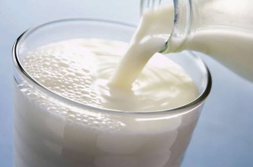 Использование цефалексина в производстве молока