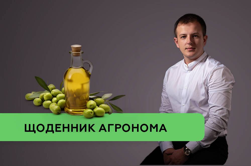 Нові правила на ринку оливкової олії: набув чинності Наказ Мінагрополітики № 333