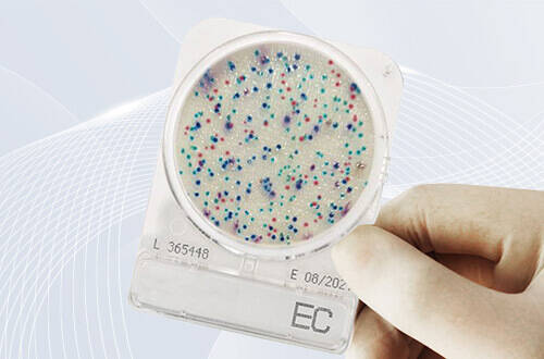 Compact Dry - самый современный микробиологический контроль (видео)