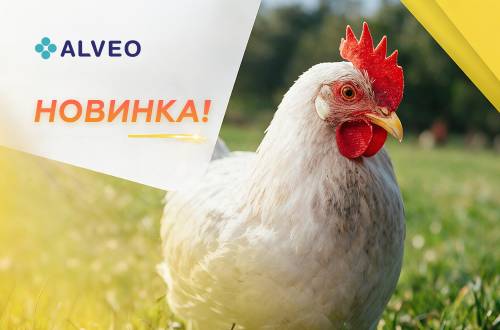 Уперше в Україні – ХЛР представляє молекулярні тести на пташиний грип