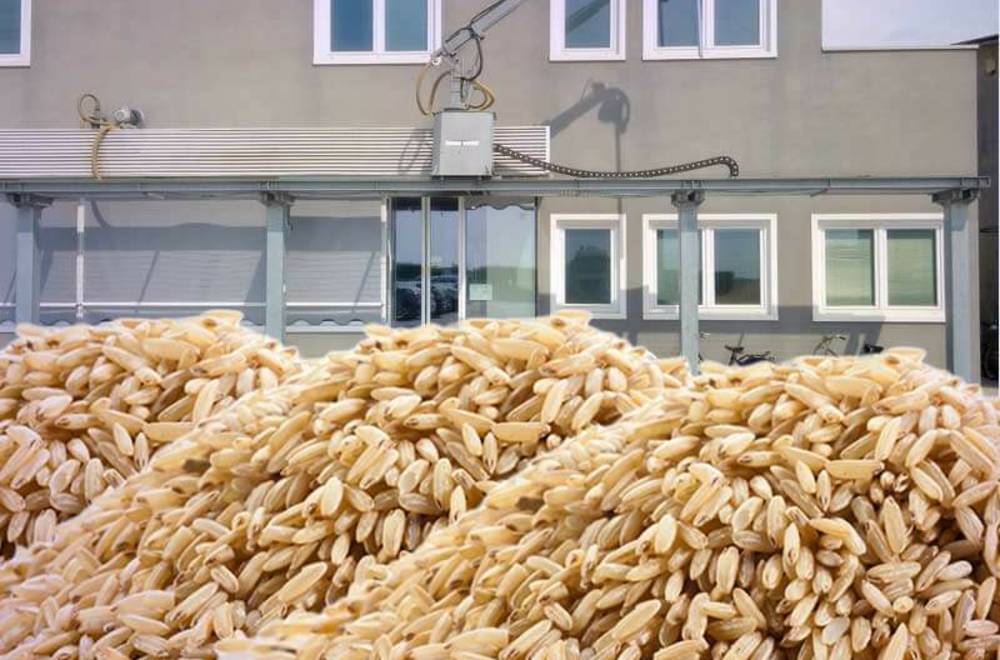 Пробовідбірники зерна Vignoli купити в ХЛР