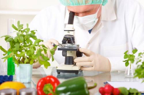 Содержания нитратов и вредных веществ в овощах, фруктах и других продуктах