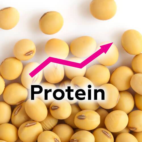 Cырой протеин в зерне