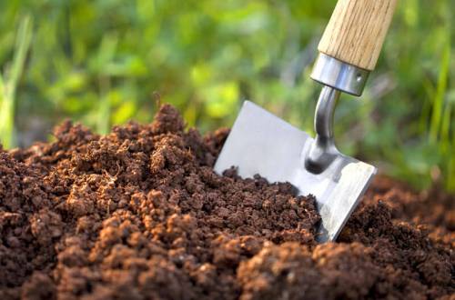 Плодородность почвы