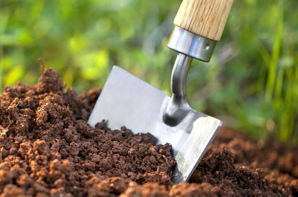 Плодородность почвы, ее оценка и практическое значение