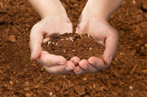 Отбор проб грунта