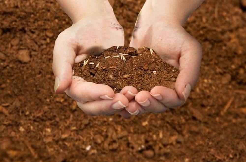 Пробовідбірники грунту