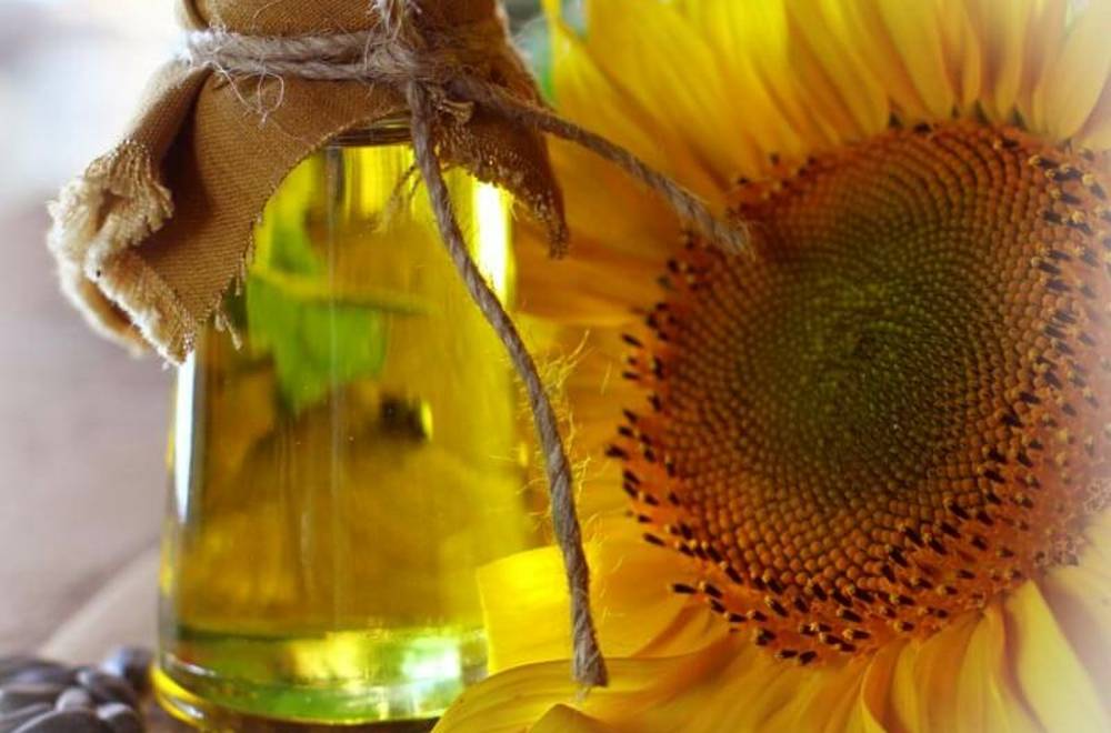 Определение масличности в подсолнечнике, сое и рапсе