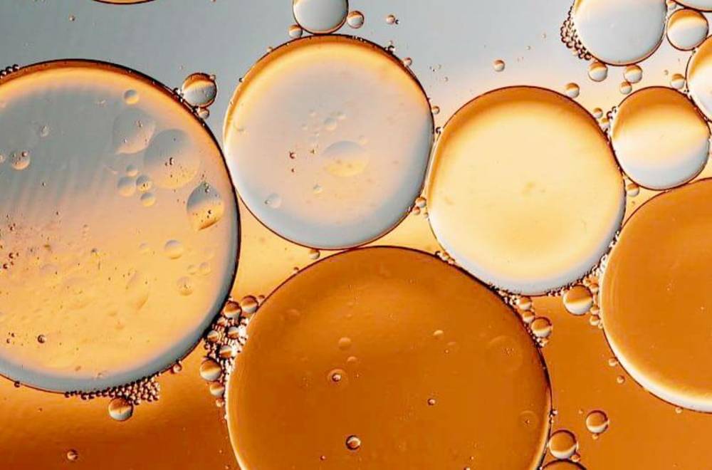 Визначення жиру класичними методами в лабораторії