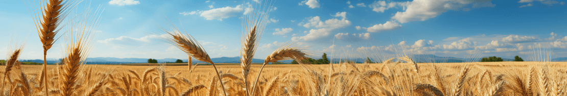 Аналізатори Agricheck