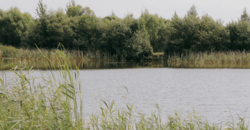 Микробиология воды с IDEXX Water