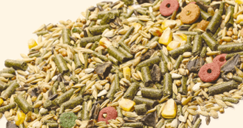 Пробовідбірники VIGNOLI