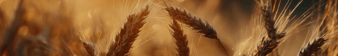 SpectraAlyzer GRAIN NEO от Zeutec