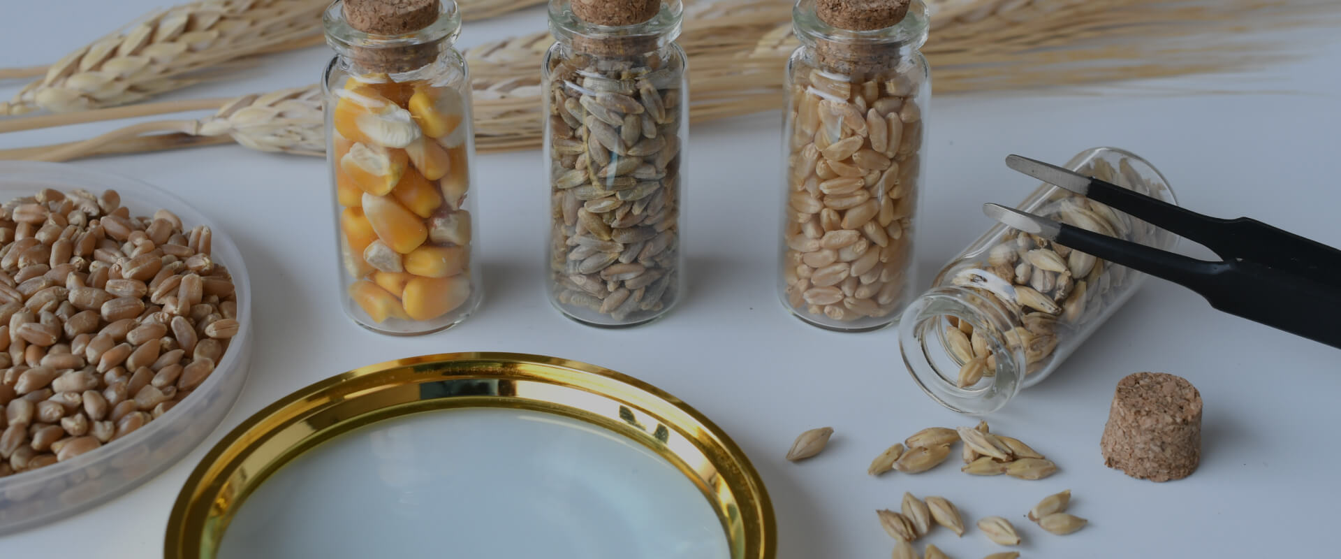 Заказывайте анализ сырья и готовой продукции в 