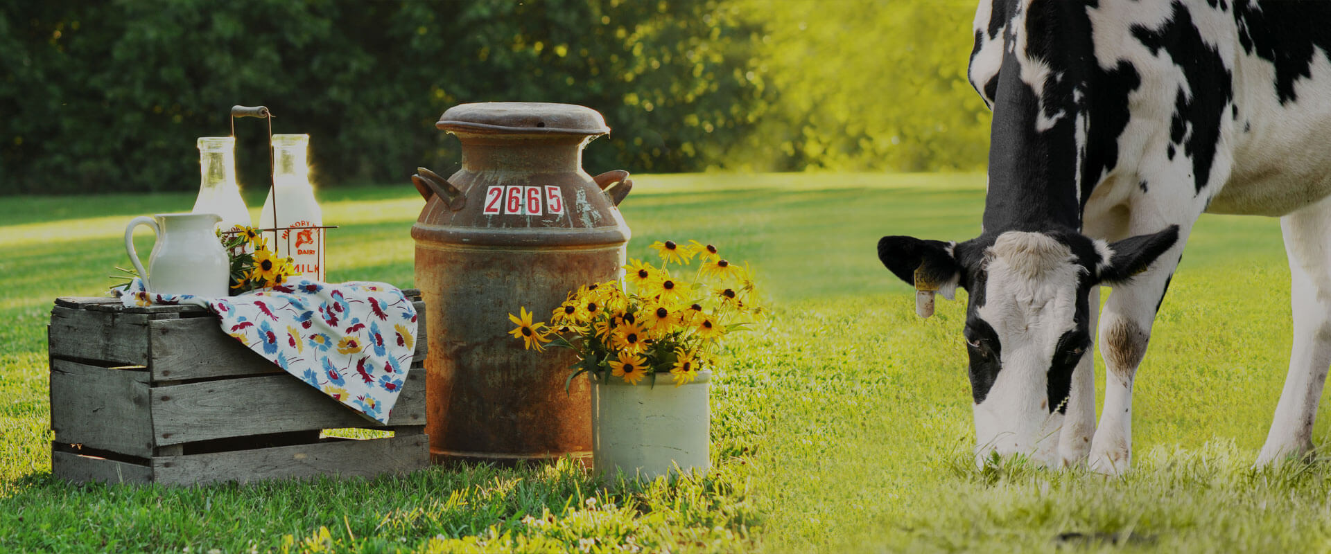 Колориметрический метод определения содержания мочевины в молоке