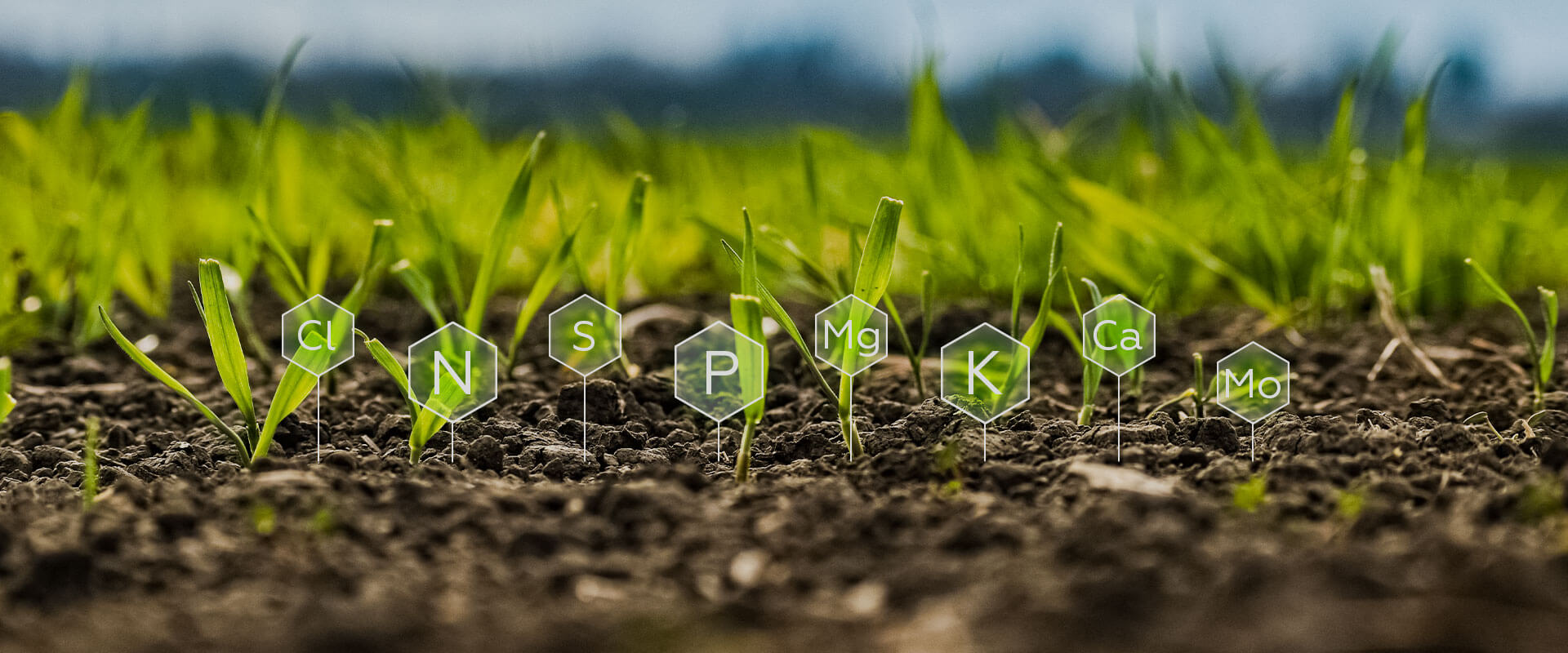 Муфельні печі